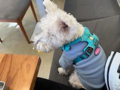 -小意思咖啡店(草桥店)