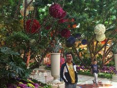 -拉斯维加斯永利酒店