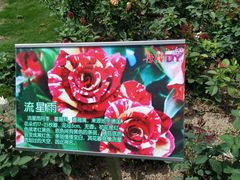 -丹樱生态园