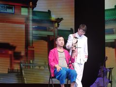 -泰安刘老根大舞台