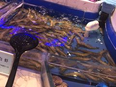 -澜悦港海鲜体验主题餐厅