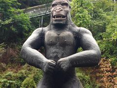 -栾川竹海野生动物园