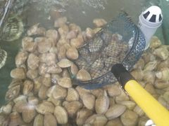 -四海鲜渔家菜(黄金海岸店)