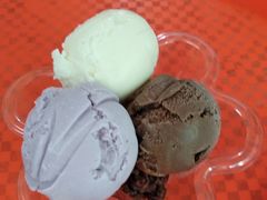 -成裕雪糕店(士多店)