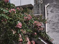 -大芬美术馆