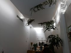 大堂-尤加利咖啡馆