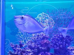 -上海海昌海洋公园