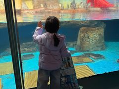 -海合安武汉极地海洋公园