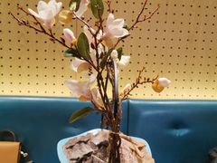 -青瓷火锅料理(西单大悦城店)
