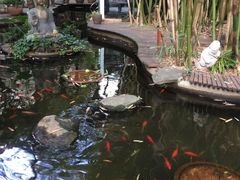 -新竹里馆·花园餐厅(兴苑路店)