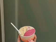 -Dip in Gelato(富民路店)