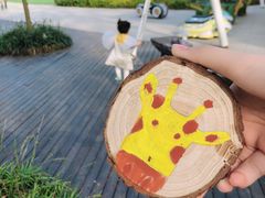 -合肥滨湖国家森林公园