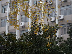 -陕西师范大学(雁塔校区)