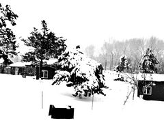 -长春世界雕塑园冰雪艺术天地