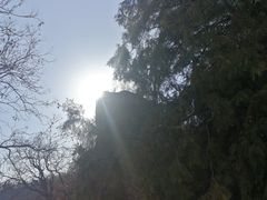 -北京鹫峰国家森林公园