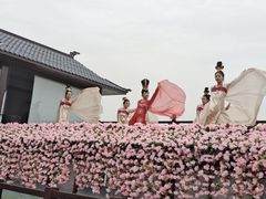 -苏州太湖国家湿地公园