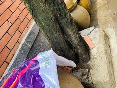 -全味面馆