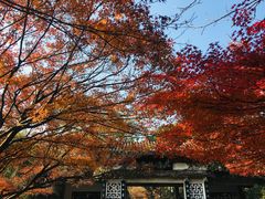 -西湖外事游船(花港观鱼码头)