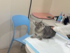 -佳雯宠物医院·皮肤科·内外科(春晓路分院)