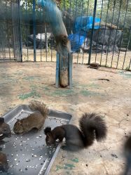 -萌宠亲子动物乐园(槐房万达店)