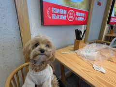 -弄堂咪道-饭香·面香·馄饨香(汇锦广场店)