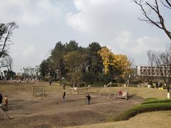 -铁山坪森林公园