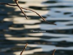 -仙海旅游度假区