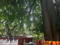 -潭柘寺景区