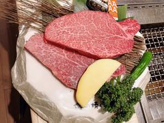 -俺的焼肉(銀座9丁目店)