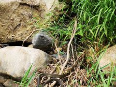 -碓臼峪自然风景区