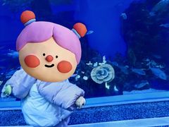 -成都浩海立方海洋公园