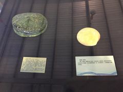 -上海海洋大学鱼文化博物馆(军工路校区)