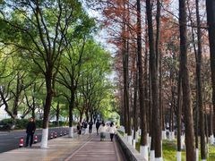 -岳麓山风景名胜区