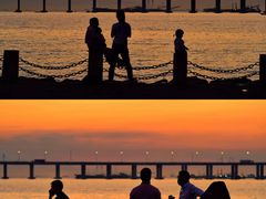 -宝安西湾红树林湿地公园