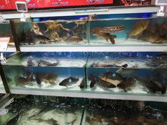 -盒马鲜生(红莲店)