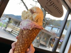 -Patagonia Chocolates(皇后镇店)