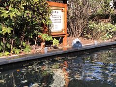 -郑州银基黄帝宫御温泉