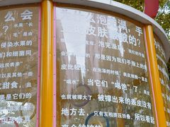 -华山儿童公园