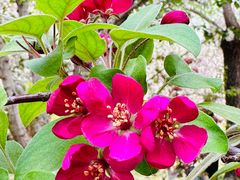 -元大都城垣遗址公园