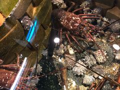 -海鮮市場長崎港(出島ワーフ店)