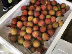 -西郊国际农产品交易中心