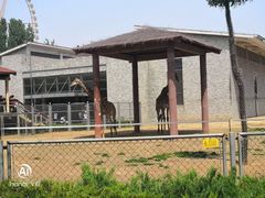 -石家庄市动物园