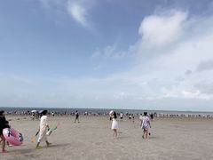 -红树林天天赶海