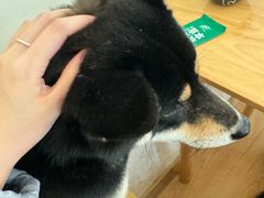 -柴の食堂·日式家庭料理·熊之肆(大学路店)