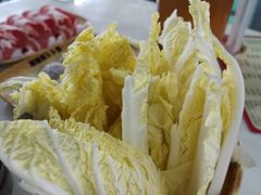 -顺德哥卜卜贝(旗舰店)