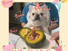 -萌宠之家·腊肠犬·马尔泰·小体犬舍