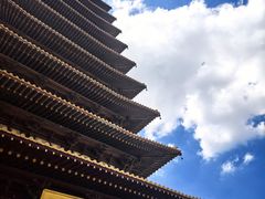 -鸭小妹鸭血粉丝(老门东店)