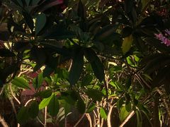 -庄子梦然·城市微度假·24h按摩·推拿·spa