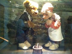 -济州岛泰迪熊博物馆