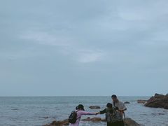 -杨梅坑